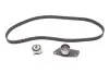 Комплект ГРМ 1.9D Kangoo 97-03/Clio 91-05/Rapid 94-98 K015484XS