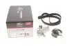 Комплект ГРМ Audi A3/A4/A6/TT/Skoda Octavia/VW Golf 1.8T Gates K015491XS (фото 1)