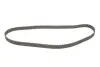 Комплект ГРМ Fiat Scudo 2.0i 16V 00-06 (25.4x153z) Gates K015528XS (фото 5)