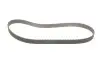 Комплект ГРМ Opel Astra 00- Gates K015603XS (фото 5)