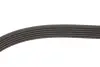Комплект ремня генератора Renault Clio/Kangoo/Megane/Scenic 1.5dCi 01- (6PK1198) Gates K016PK1198 (фото 6)
