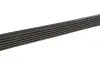 Комплект ремня генератора Ford Transit Connect 1.0 EcoBoost 13- (6PK1503) Gates K016PK1503 (фото 4)