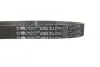 Комплект ГРМ Renault Clio/Kangoo/Megane/Dacia Dokker/Duster /Logan1.5dCi 01- (27x123z) Gates K025578XS (фото 2)