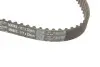 Комплект ГРМ Ford Mondeo/C-Max/Focus/Kuga/Transit Connect 1.5/1.6 EcoBoost 10- (22x117z) Gates K025669XS (фото 2)
