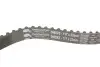 Комплект ГРМ Ford Mondeo/C-Max/Focus/Kuga/Transit Connect 1.5/1.6 EcoBoost 10- (22x117z) Gates K025669XS (фото 3)