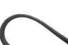 Комплект ремінця генератора VW T5 1.9 TDI 03-09 (6DPK1195) Gates K026DPK1195 (фото 2)