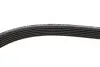 Комплект ремінця генератора VW T5 1.9 TDI 03-09 (6DPK1195) Gates K026DPK1195 (фото 3)