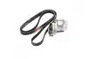 Комплект ременя генератора Chevrolet Captiva, Epica, Evanda, Lacetti, Tacuma 2.0 Gates K026PK1893 (фото 2)