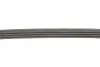 Комплект ременя генератора VW Passat/Audi A4/A6 1.6-2.0TDI 96-05 Gates K034PK855 (фото 7)
