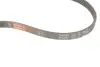 Комплект ременя генератора VW Passat/Audi A4/A6 1.6-2.0TDI 96-05 Gates K034PK855 (фото 8)