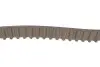 Комплект ГРМ Ford Fiesta/Focus III/Kuga II 1.2-1.6 10- (22x117z) Gates K035669XS (фото 3)