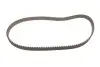 Комплект ГРМ Ford Fiesta/Focus III/Kuga II 1.2-1.6 10- (22x117z) Gates K035669XS (фото 4)