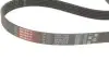 Комплект ремінця генератора Audi A2/Seat Ibiza/Skoda Fabia/VW Golf/Polo 1.4/1.6/1.6FSI 97-15 (6PK1078) Gates K036PK1078 (фото 4)