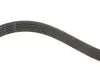 Комплект ремінця генератора Audi A2/Seat Ibiza/Skoda Fabia/VW Golf/Polo 1.4/1.6/1.6FSI 97-15 (6PK1078) Gates K036PK1078 (фото 5)