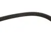 Комплект ремінця генератора Hyundai Elantra/Tucson/I30/Kia Ceed 2.0 04- (4PK890/4PK855) Gates K074PK890 (фото 7)