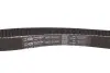 Комплект ГРМ + помпа Opel Astra/Vectra/Omega B 1.8-2.0i Gates KP15408XS (фото 11)
