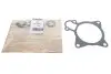 Прокладка помпи води Citroen Jumper/Fiat Ducato/Peugeot Boxer 3.0 HDi 06- GAZO GZ-A2037 (фото 1)