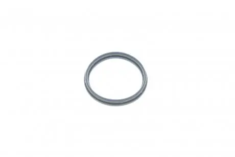 Прокладка корпуса колектора впускного Ford Transit/Mondeo III 2.0/2.4D 00-07 GAZO GZ-A2760