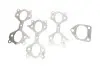 Коллектор выпускной BMW X5 (E53) 3.0d (M57) 00-07 (к-кт) GAZO GZ-E1277 (фото 4)