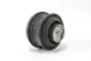 Подушка двигуна MB C/E-клас (W202/W203/W210/W211) GOODREM RR3699 (фото 2)
