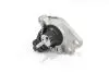 Подушка двигуна Пр. Kangoo 1.5/1.9dCi GOODREM RR5066 (фото 1)