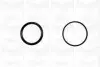 Помпа води Citroen C4/C5/C8/Jumpy/Fiat Scudo/Peugeot 206/307/406/407 2.0 16V 99- (20z)(R/B)(з корп.) GRAF PA1045 (фото 2)