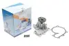 Насос воды Ford Ranger 2.5 3.0 D/TD/TDi/TDCi 4x4 99-12 (R/B) (6 лоп.) GRAF PA1209 (фото 2)