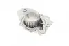Помпа воды Peugeot 205/305/309/405/Expert/Citroen Bx 1.6/1.9/1.9D 82-98 (20z) (B/B) (6 лоп) GRAF PA256 (фото 6)