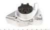 Помпа води Citroen Berlingo/Xsara/Peugeot Partner/306/309/405/406 1.6/1.8/1.9 87-02(20z)(B/B)(6 лоп) GRAF PA348 (фото 3)