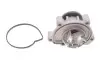 Насос воды MB Vaneo (W414) 1.6/1.7CDI/1.9 02-05/A-class (W168) 1.4/1.6/1.7CDI/1.9 97-04 (R/B)(6 лоп) GRAF PA736 (фото 1)