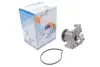 Насос воды MB Vaneo (W414) 1.6/1.7CDI/1.9 02-05/A-class (W168) 1.4/1.6/1.7CDI/1.9 97-04 (R/B)(6 лоп) GRAF PA736 (фото 2)