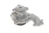 Насос воды Ford C-Max I/Focus I/II/Mondeo/Transit/Tourneo Connect 1.8DI/TDCi/TDDi 99- (R/B) (6 лоп.) GRAF PA742 (фото 4)
