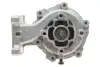 Помпа води Ford Transit VII 2.0DI/TDCi 00-06/Mondeo III 2.0/2.2TDCi 00-07 (B/B) (8 лоп.)(з корпусом) GRAF PA807 (фото 7)