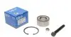 Подшипник ступицы (задней) VW Sharan 95-10/Ford Galaxy 95-06 (43x80x38)(к-кт) GSP GK3450 (фото 1)