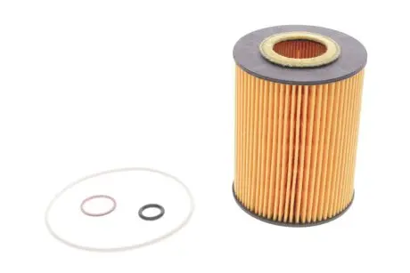 Фильтр масляный BMW 5 (E60/E61)/6 (E63/E64)/7 (E65/E66)/X5 (E53) 3.6-4.8i N62 01-06 HENGST FILTER E203HD67