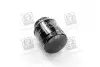 Фільтр оливи двигуна AUDI, VW (Hengst) HENGST FILTER H312W01 (фото 2)