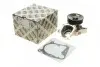 Насос воды BMW 3 (E46/E90-E92)/5 (E60/E61) 2.0/2.5/3.0d HEPU P466 (фото 1)