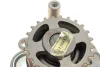 Комплект ГРМ + насос Skoda Octavia/VW Golf IV 96-10 (150x23) HEPU PK05474 (фото 11)