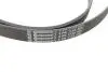 Комплект ремня генератора + помпа Audi A1/A3/Seat Ibiza/Skoda Octavia 1.4/1.6 02- HEPU PK05810 (фото 2)