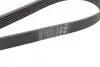 Комплект ремня генератора + помпа Audi A1/A3/Seat Ibiza/Skoda Octavia 1.4/1.6 02- HEPU PK05810 (фото 3)
