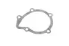 Комплект ГРМ + насос Citroen Berlingo/Jumpy 1.9D 98- HEPU PK08410 (фото 18)
