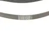 Комплект ГРМ + насос Citroen C1/C3/C4/Peugeot 2008/208/301 1.2 12-(118x16)(-AC) HEPU PK09081 (фото 8)