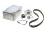 Комплект ГРМ + насос Renault Kangoo 1.5dCi 01- (z=123) PK09580