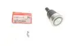Опора шаровая (передняя/снизу) Acura TLX 2.4/3.5 i-VTEC/ Accord/Civic 2.0/2.4 14- HONDA 51220T2A315 (фото 2)