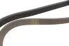 Ремінь генератора Renault Kangoo 1.4i 98-/ 1.6i 02- (5PK1110) HUTCHINSON 1110 K 5 (фото 3)