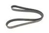 Ремень генератора BMW F20/F30/F32 B38/B48 14- HUTCHINSON 1160 K 6 (фото 1)