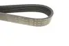 Ремень генератора BMW F20/F30/F32 B38/B48 14- HUTCHINSON 1160 K 6 (фото 4)
