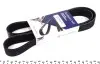 Ремінь генератора Mazda 3/5/6 2.0 DI/CD 02-10 (8PK1225) HUTCHINSON 1225K8 (фото 1)