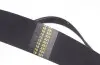 Ремінь генератора Mazda 3/5/6 2.0 DI/CD 02-10 (8PK1225) HUTCHINSON 1225K8 (фото 3)
