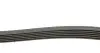 Ремінь генератора VW Golf/VW Bora 2.3 -00 (6PK1285) HUTCHINSON 1285 K 6 (фото 2)